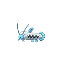 Barboach