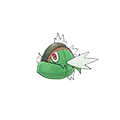 Basculin