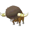 Bouffalant