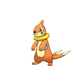 Buizel
