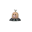 Diglett-Alola