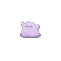 Ditto