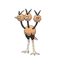 Dodrio