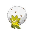 Eldegoss