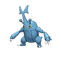 Heracross