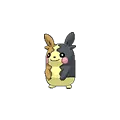 Morpeko