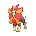 Pyroar
