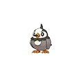 Starly