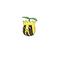 Sunkern