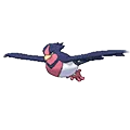 Swellow