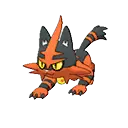 Torracat