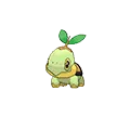 Turtwig