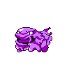 Muk