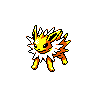 Jolteon