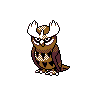 Noctowl