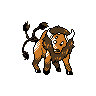 Tauros