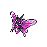 Venomoth