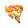 Rapidash