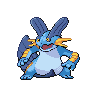 Swampert