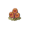 Dugtrio