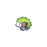 Shaymin
