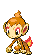 chimchar