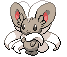 Cinccino