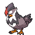 Staraptor