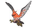 Talonflame