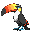 Toucannon