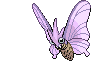 Venomoth